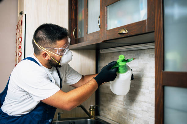 Best Cockroach Control Services  in Cokato, MN