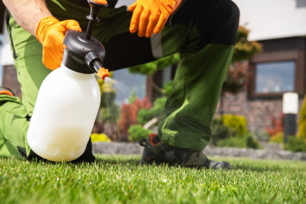 Pest Control for Restaurants in Cokato, MN