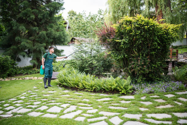 Best Pest Control for Restaurants  in Cokato, MN