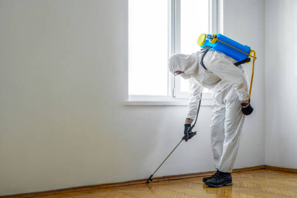 Cokato, MN Pest Control Company