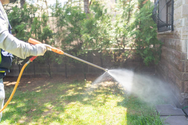 Best Residential Pest Control  in Cokato, MN