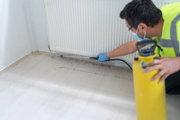 Best Best Pest Control Near Me  in Cokato, MN